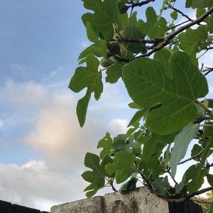 Meet your Posher, Jeanne